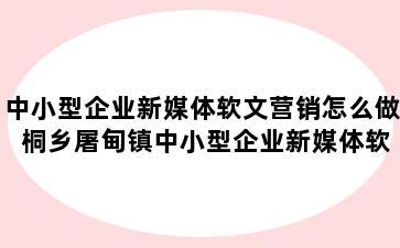 中小型企业新媒体软文营销怎么做 桐乡屠甸镇中小型企业新媒体软文营销怎么做